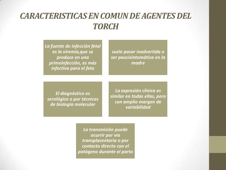 infecciones perinatales torch